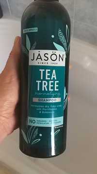 JASON - Tea tree - Shampoo