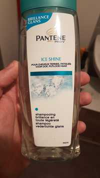 PANTENE PRO-V - Ice shine - Shampooing