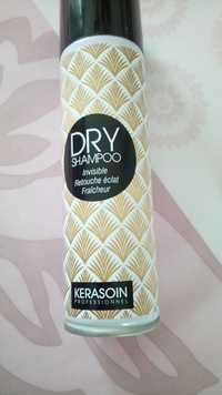 KERASOIN - Dry shampoo